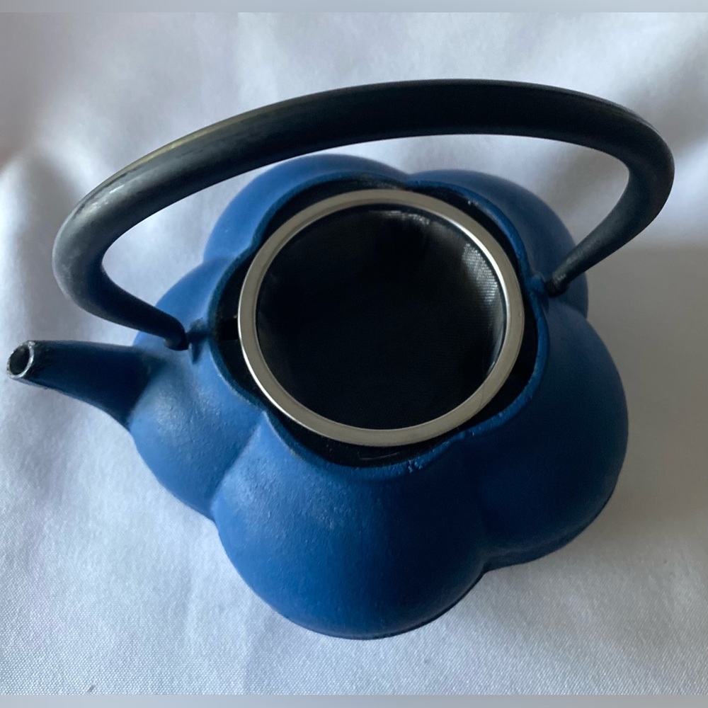 Cast Iron Lidded Teapot with Infuser - Picture 7 of 9